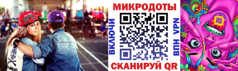 Псилоцибиновые грибы Psilocybine cubensis Торжок